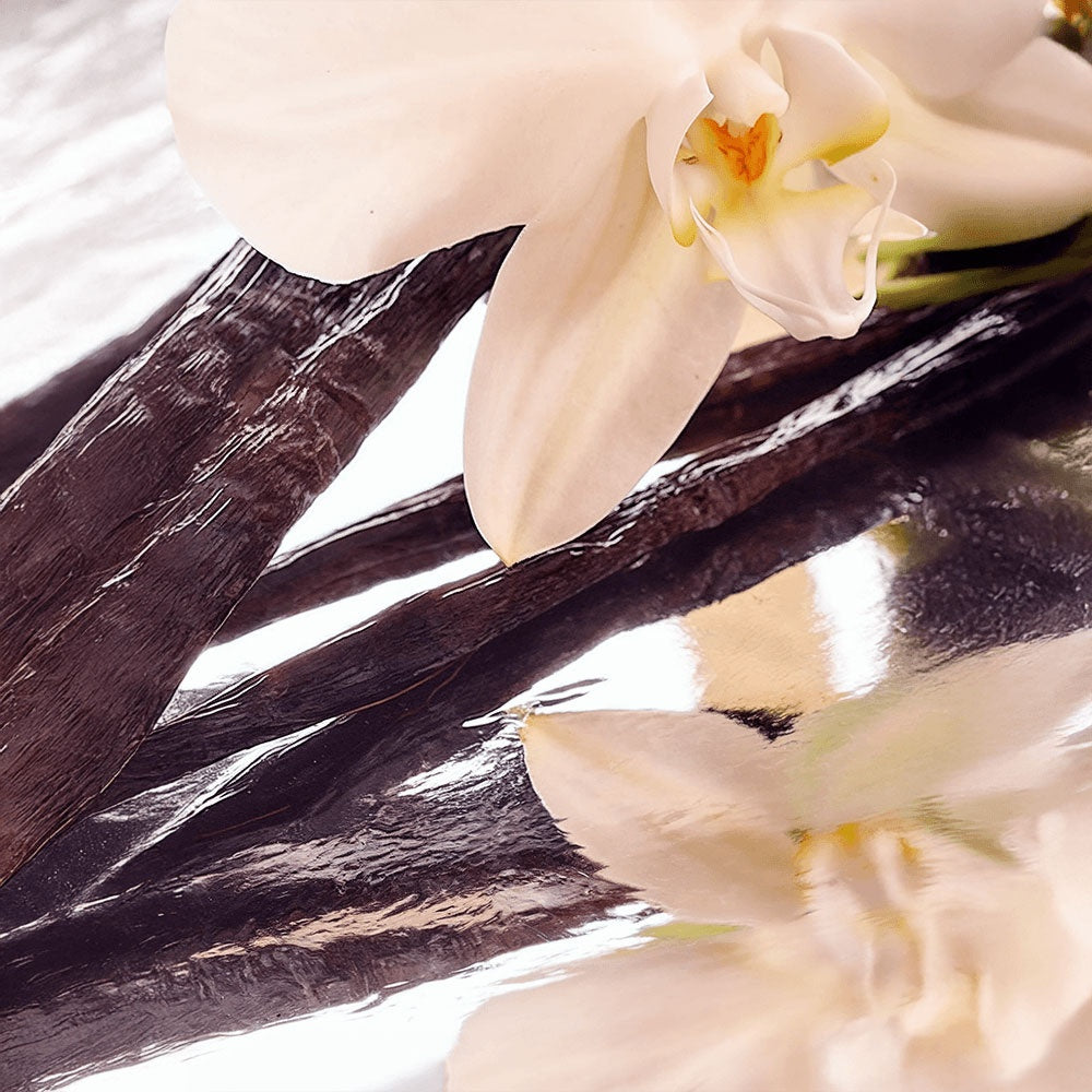 Whipped Grass-Fed Tallow Balm